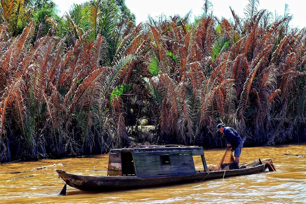 China launches direct shipping route to Mekong Delta's largest city via new river-to-sea canal - VnExpress International