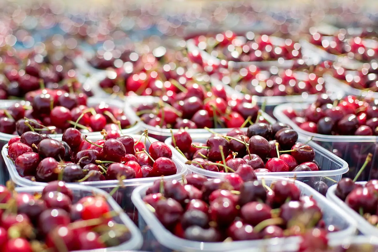 Post-Golden Week Container Market: Capacity Returns, Rates Ease 2% - IndexBox