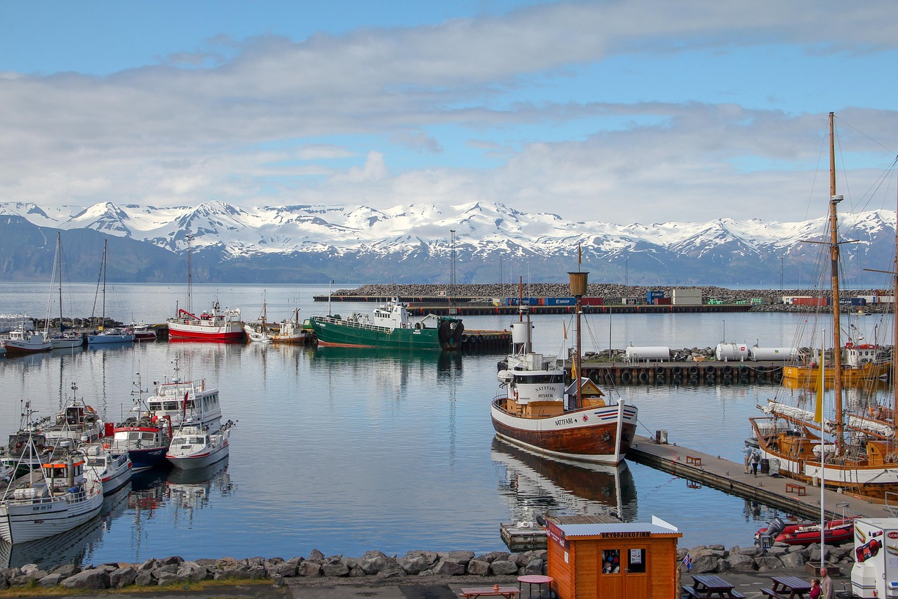 Nurminen and Tarros sign deal for expanded Nordic-Mediterranean connection
