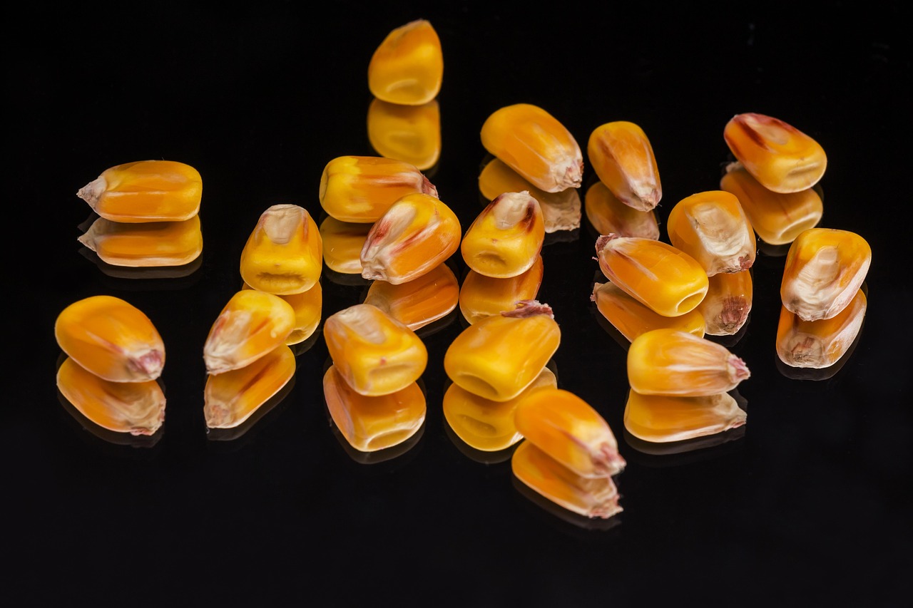 Russia Can Restart 80% Of Black Sea Grain Export If Attacks Stop