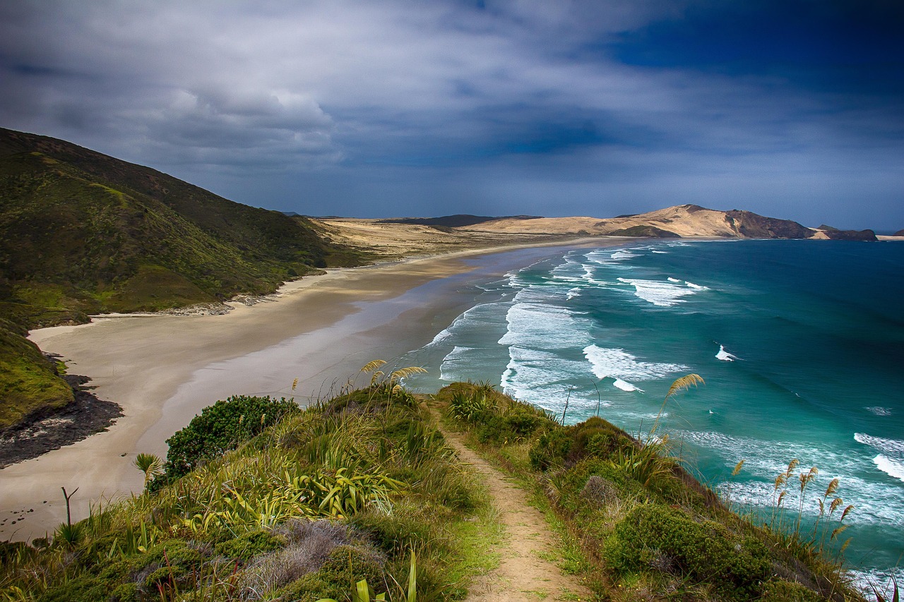 CargoWise integrates with PortConnect in New Zealand