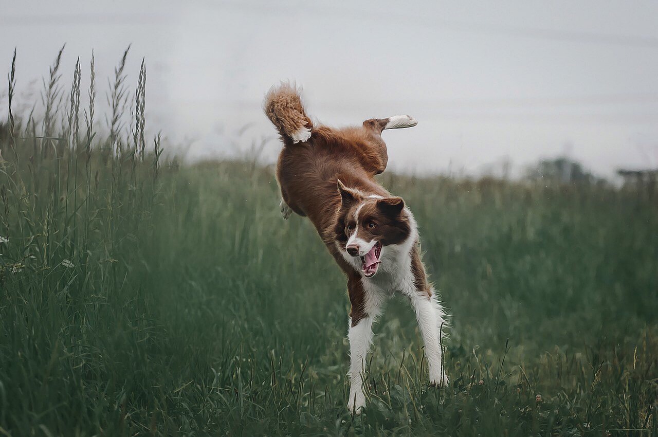 Dynamic tariffing: agility, resilience and investment