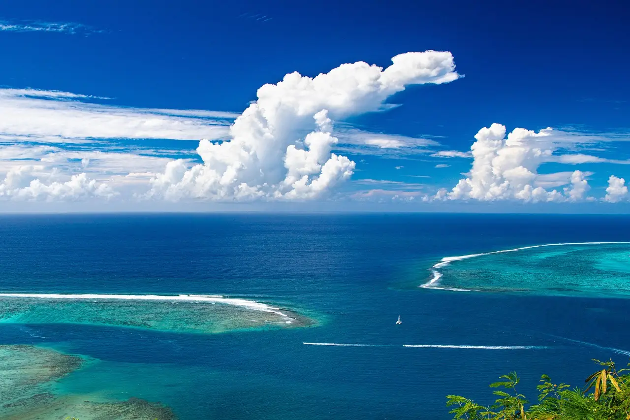 Jade Pacific Line launches India–Red Sea service