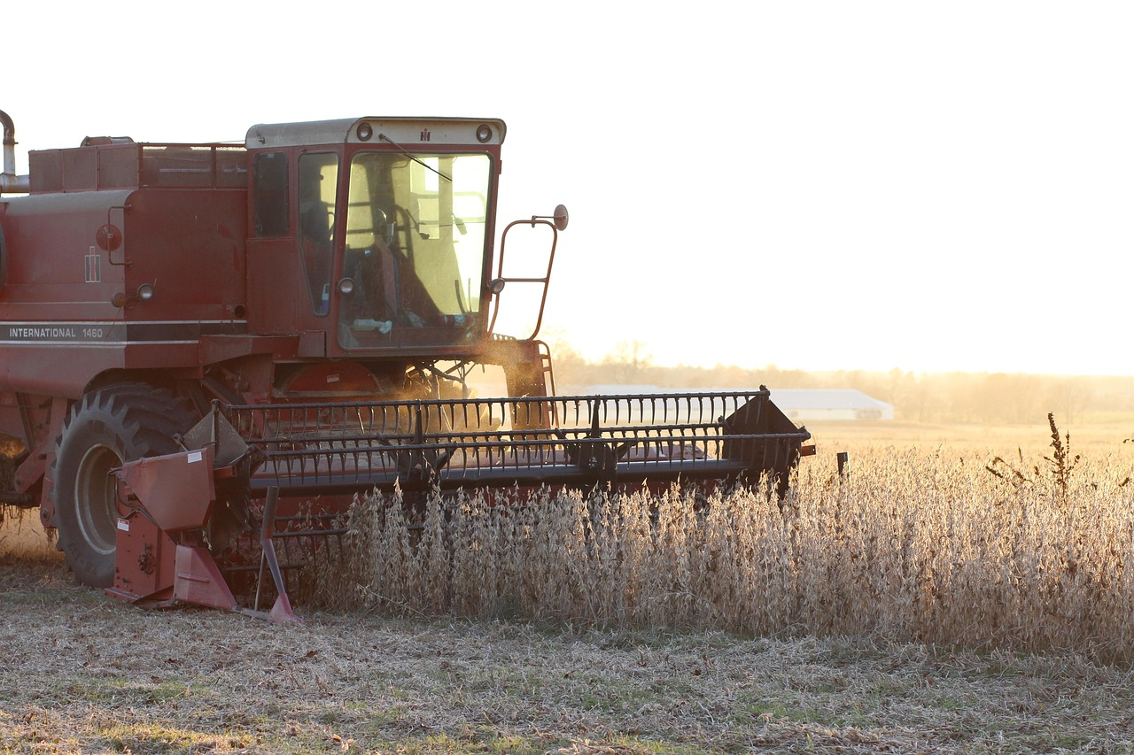 Brazil soybean oil exports remain strong as crush expands